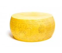 Artificial Cheese - Grana Padano