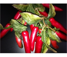 Artificial Chillies - CHILLIS