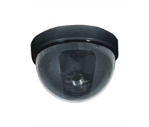 Imitation Camera Mini Dome - LA5317