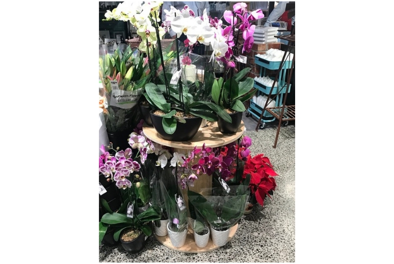 Flower Display